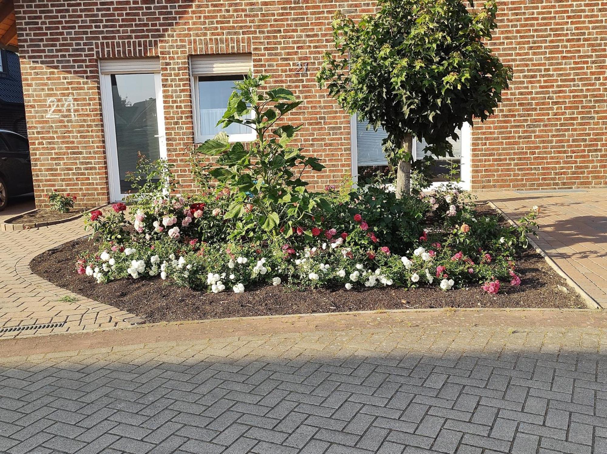 Fewo Holunderbusch Saerbeck Bagian luar foto