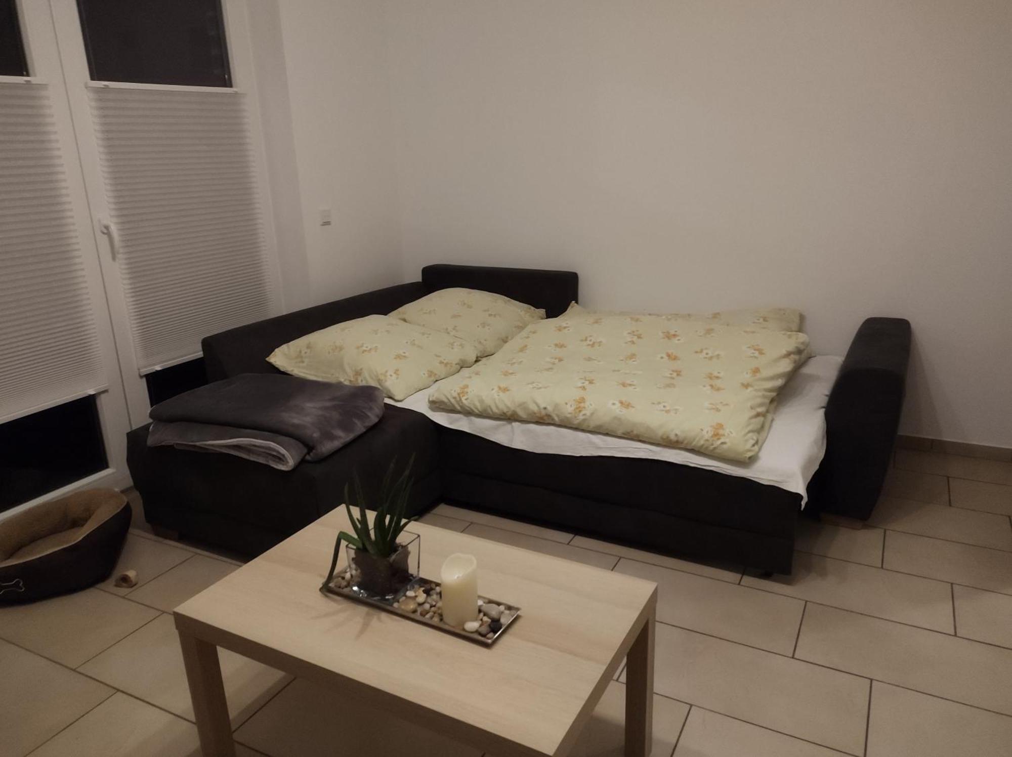 Fewo Holunderbusch Saerbeck Bagian luar foto